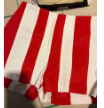 EL LLAMAFANTE: CM SHORTS