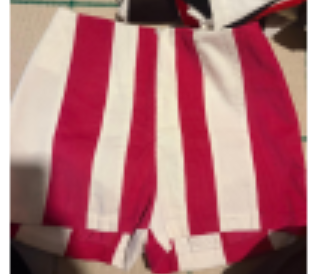EL LLAMAFANTE: CM SHORTS