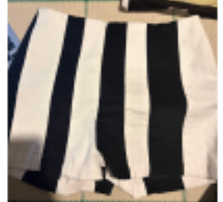 EL LLAMAFANTE: CM SHORTS